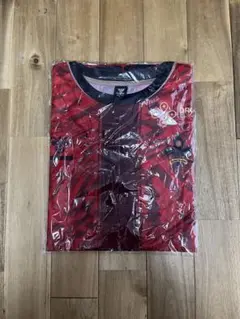 hummel ツエーゲン金沢　限定配布Tシャツ　Fサイズ