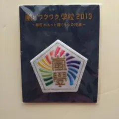 嵐のワクワク学校 2013 ピンバッジ