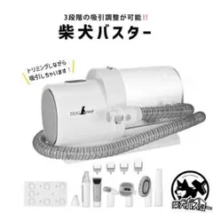 Item thumbnail for item 4e22160e-d19a-4d06-9af1-6dfd42fc75cb