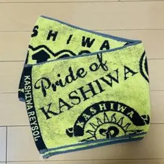 Item thumbnail for item 80baeefe-fd38-44db-b775-eb018307ecf5