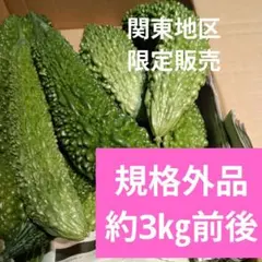 ◆関東地区限定販売◆ブランドゴーヤー規格外品◆鮮度抜群◆ 農家直送のサムネイル