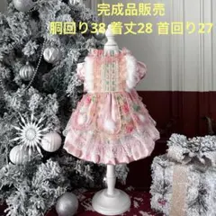 完成品販売犬服 猫服 ハンドメイド ワンピース わんちゃん - メルカリ