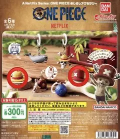 ワンピース めじるしアクセサリー onepiece 麦わら帽子 チョッパーの帽子