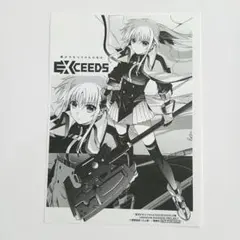 b*l様 魔法少女リリカルなのはEXCEEDS 2 とらのあな クリアファイル
