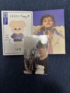 Straykids スキズ KARMA fans トレカ スンミン