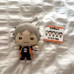 ハイキュー!! 菅原孝支　にとたん