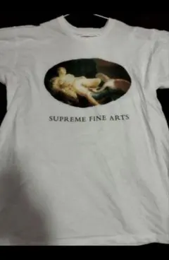 売切価格！Supreme【美品】19ss レダと白鳥Ｔシャツ