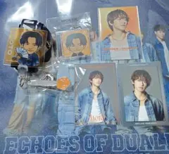 NAOTO ガチャ フォンタグネックストラップ フォトカード