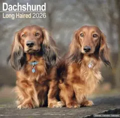 Item thumbnail for item b4291bd2-00f0-44df-879c-502248e84484