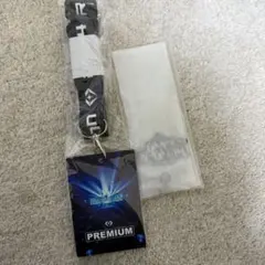 Item thumbnail for item e2627510-f6f5-48fa-8a64-f802fd3584c0