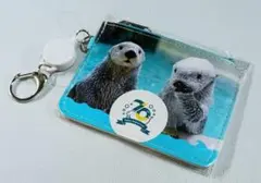 【新品】鳥羽水族館　ラッコ　メイキラ　パスケース　70周年記念