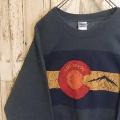 [USA古着] スウェット トレーナー くすみ色 ダークグレー 90s Lサイズ