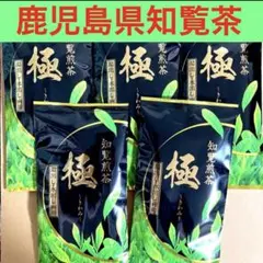 知覧産煎茶【極】100g×5袋　知覧茶　鹿児島県銘茶　日本茶　お茶　緑茶　お茶葉のサムネイル