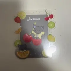 JOCHUM 硬質ケース ピーハイ