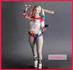 新品、未開封 DCマルチバース ハーレイクイン アクセサリーセット