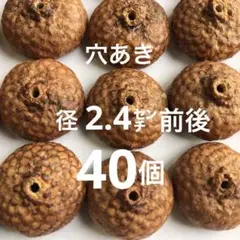 2025 北海道　レッドオーク　どんぐり帽子　穴あき帽子　40個　煮沸消毒済