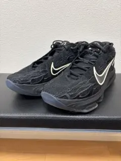 Item thumbnail for item 8e5cf34f-49ea-4565-bc72-3ade97a30fdc