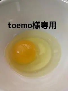 toemo様専用 平飼い卵90個