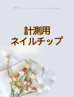 計測用ネイルチップ ショートオーバル