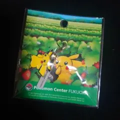 メタルチャーム ポケモン