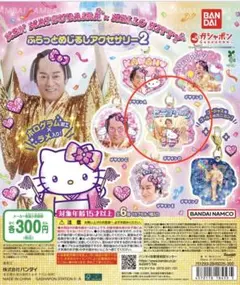 ハローキティ ぷらっとめじるしアクセサリー2