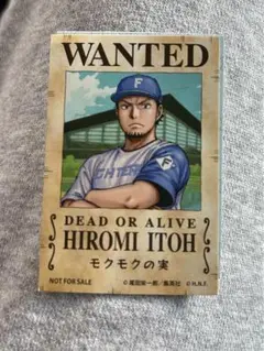 伊藤大海　ワンピース　ファイターズ