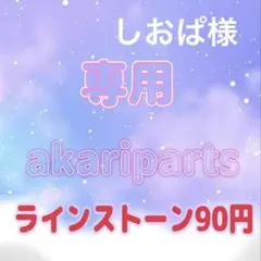 しおぱ様専用ページ
