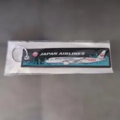 【新品・美品】JAL 日本航空 AIRBUS A350 ネームタグ キーホルダー