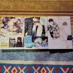 【アザージャケット付】美しい彼　小説