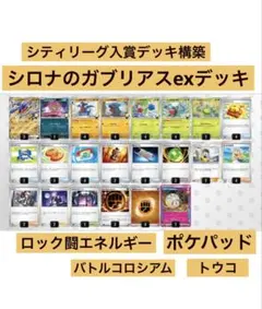 シロナのガブリアスexデッキ シティリーグ入賞デッキ構築　ポケパッド4枚
