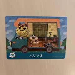 どうぶつの森 amiibo ハリマオ まとめ割引