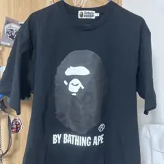 Item thumbnail for item da5e140f-d547-4d6c-908e-d25c9f10dd54