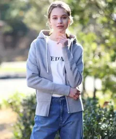 【DRESSTERIOR】ドレステリア 裏起毛ジップアップパーカー グレー01