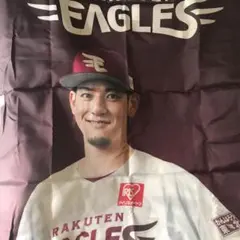 ジャイアンツ 応援グッズ 応援幕 【1点限定】 ジャイアンツ 応援グッズ 応援幕 【1点限定】 - メルカリ
