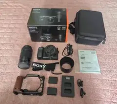 2026年最新】α6400 ダブルズームの人気アイテム - メルカリ