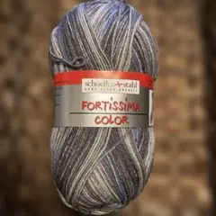 ⭐︎1835 FORTISSIMA COLOR 海外ソックヤーン　中細