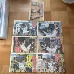 2023 関西スポーツ新聞 記念5紙セット 阪神優勝 - メルカリ