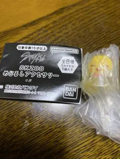 skzoo めじるしアクセサリー ガチャ　BbokAri