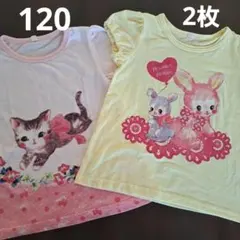 キッズ女の子半袖　可愛い猫とウサギのTシャツ 120サイズ　2枚　西松屋のサムネイル
