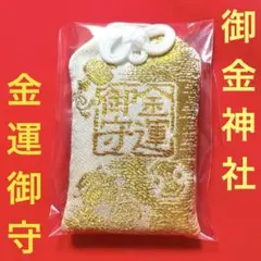 Item thumbnail for item d8e11323-1f69-4a94-9e7e-77b29fa1e722