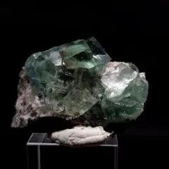 2025年最新】シャンファーリンの人気アイテム - メルカリ