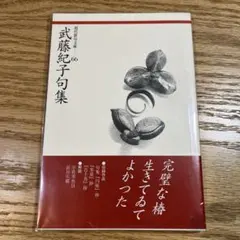 ② 武藤紀子句集 現代俳句文庫66 ふらんす堂 俳句 詩歌 絶版本 邑書林 角川