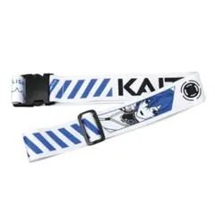 Item thumbnail for item f09130a3-a3d6-4454-af05-f7111972507c