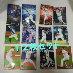 カルビー 2023プロ野球チップス カードのみ12枚セット