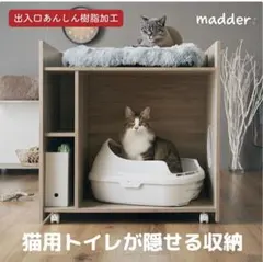 Item thumbnail for item 2925a001-c641-40c2-b8b4-bee457bb2e77