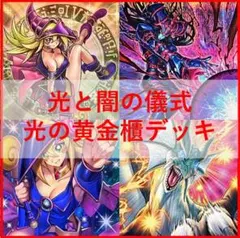 遊戯王 デッキ 烙印 光と闇の儀式 白き竜の落胤 [04905] - メルカリ