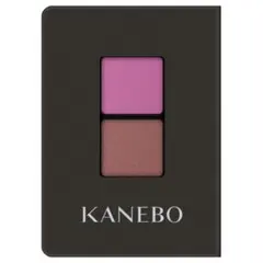 KANEBO アイシャドウパレット 2個セット　色番号22.EX10 未開封