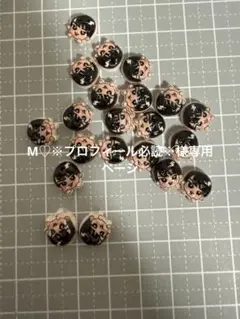 M♡※プロフィール必読※様専用ページ