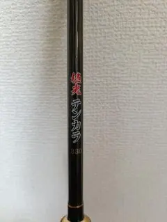 Daiwa HZ 波濤 F 1-53 磯竿 - メルカリ