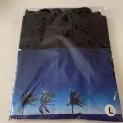 チルアウト　コーチジャケット　L 永井博